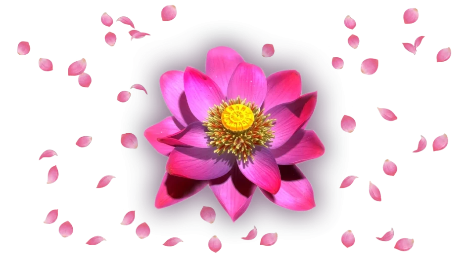 Thai Flower Power Play (UK Only Release)
