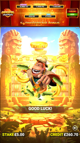 Mobile Screenshot 2