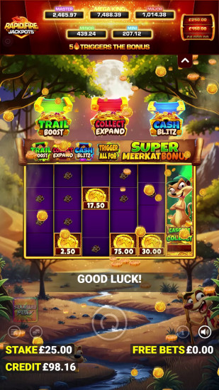 Mobile Screenshot 3