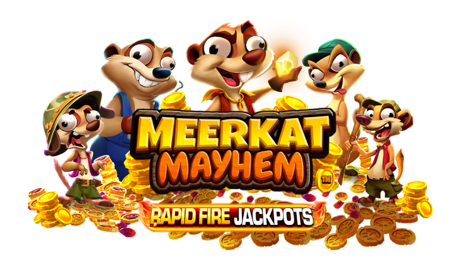 Embrace the mayhem!